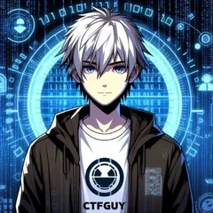ctfguy profile picture